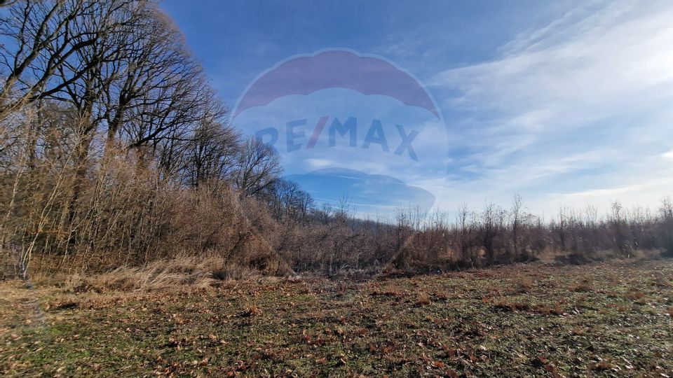 Plots of built-up land near the forest| 2.5km from the road | Sabareni