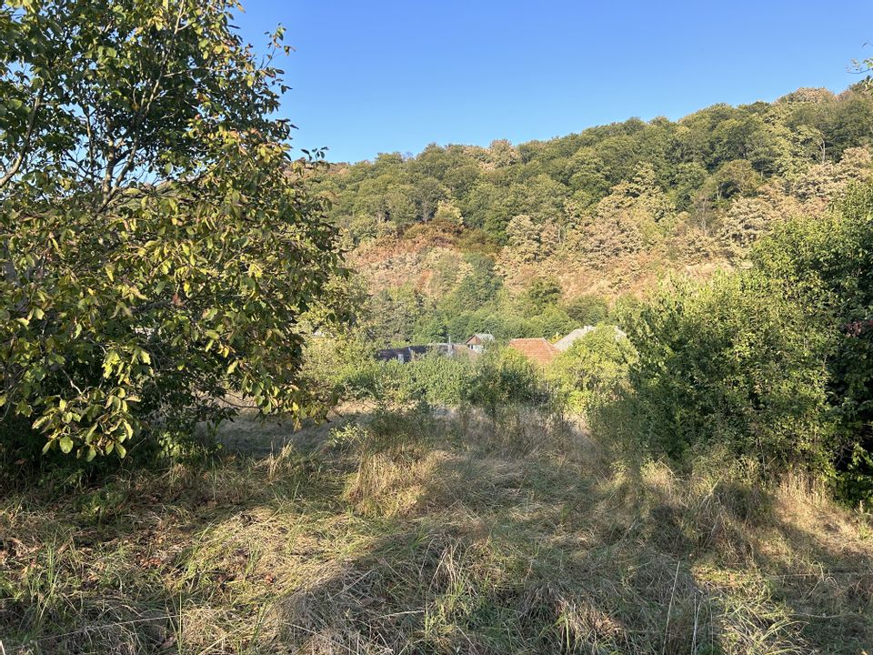 Land 2,550sqm Tautii-Magheraus / Strada 28