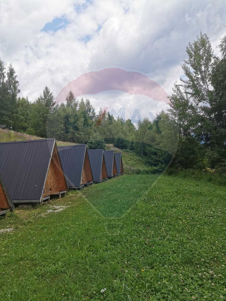 6,2 ha + business turistic activ | Munții Apuseni