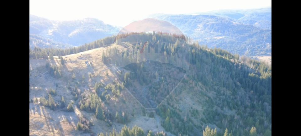 Teren 31,461mp Panaci / Prelungirea Ialovita