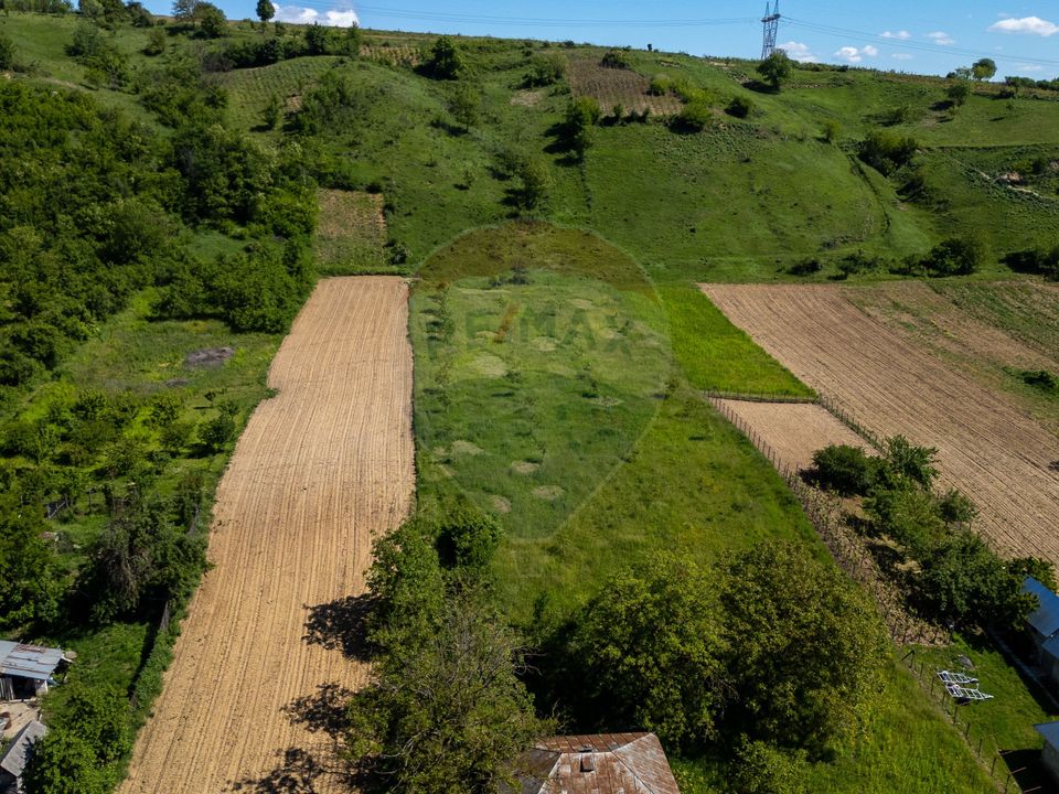 Land 11,317sqm Parava / Strada Vasile Alecsandri