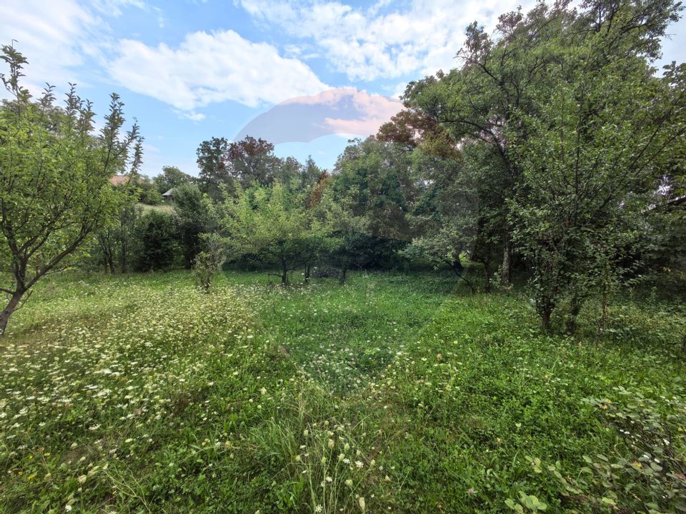 Casa traditionala De Vanzare cu 5 Hectare de teren