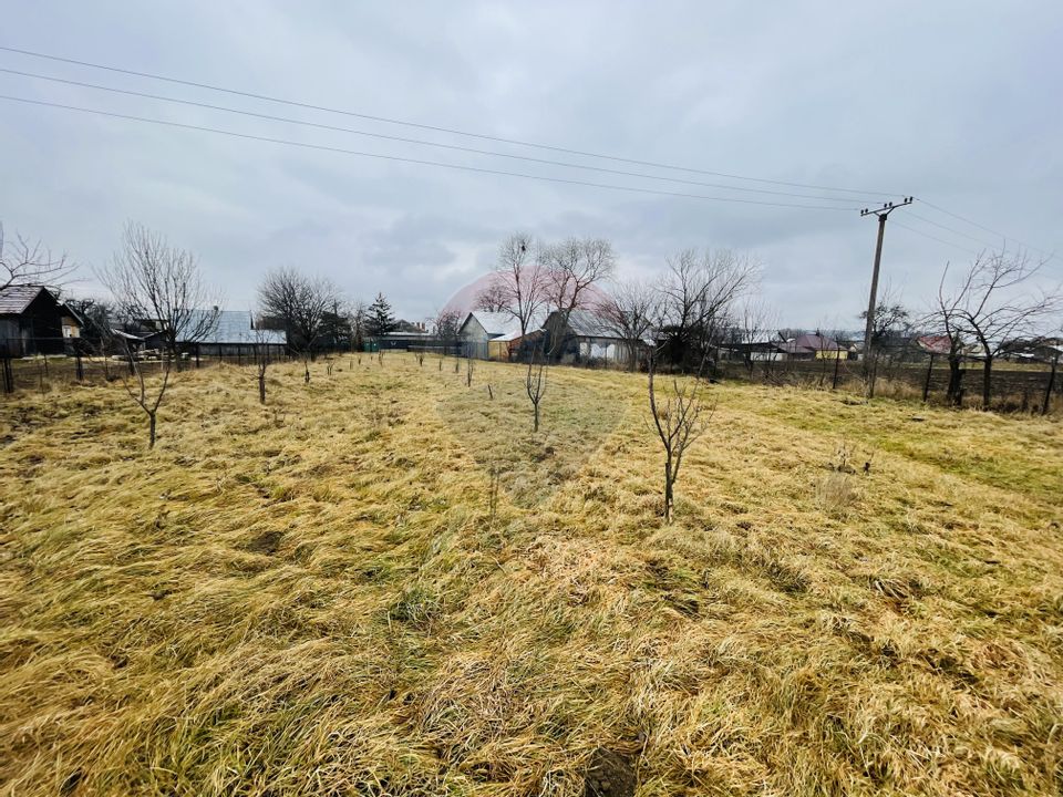 Land 9,900sqm Darmanesti / Soseaua Principala