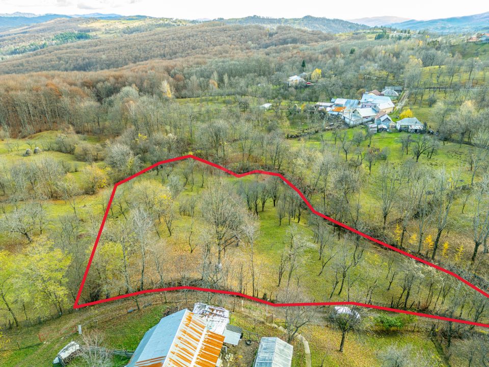 Urban land 4384 sq m – Talea commune, Prahova county