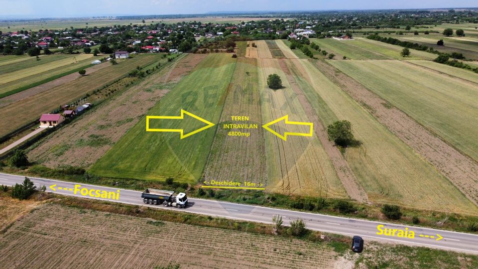 Land 4,800sqm Biliesti / DJ 204D