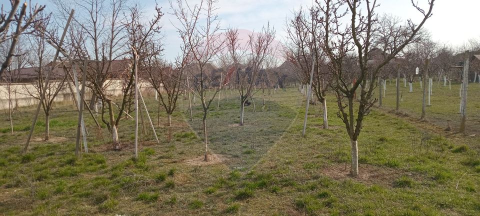 Land 2,954sqm Vladimirescu / Strada Stefan cel Mare