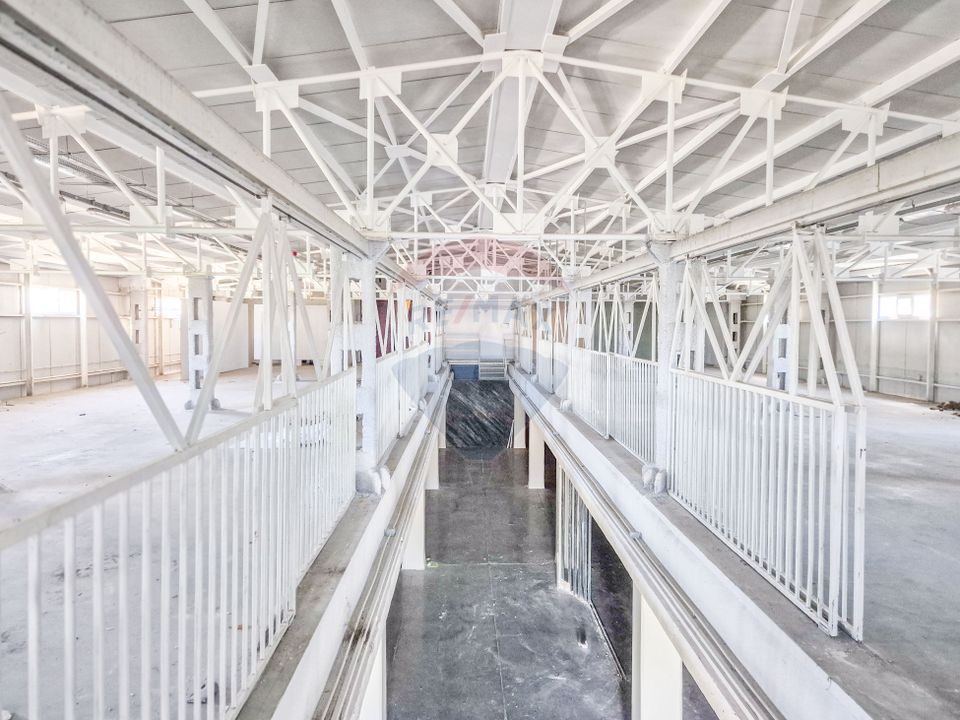 Hala beton P+E 1000 mp comercial, productie, depozitare Pipera Plaza