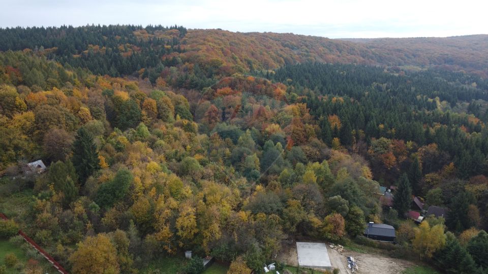 Teren de vanzare în Faget 1542 mp cu panorama