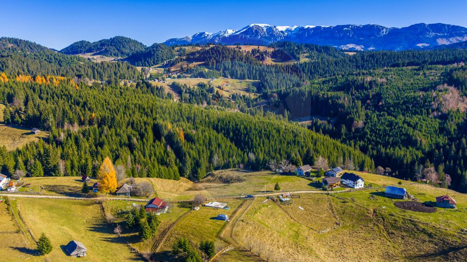 Land 13,800sqm Fundatica / Drumul FN