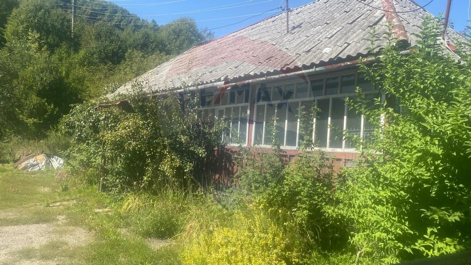 Teren de vanzare Baia Mare / Strada Firiza