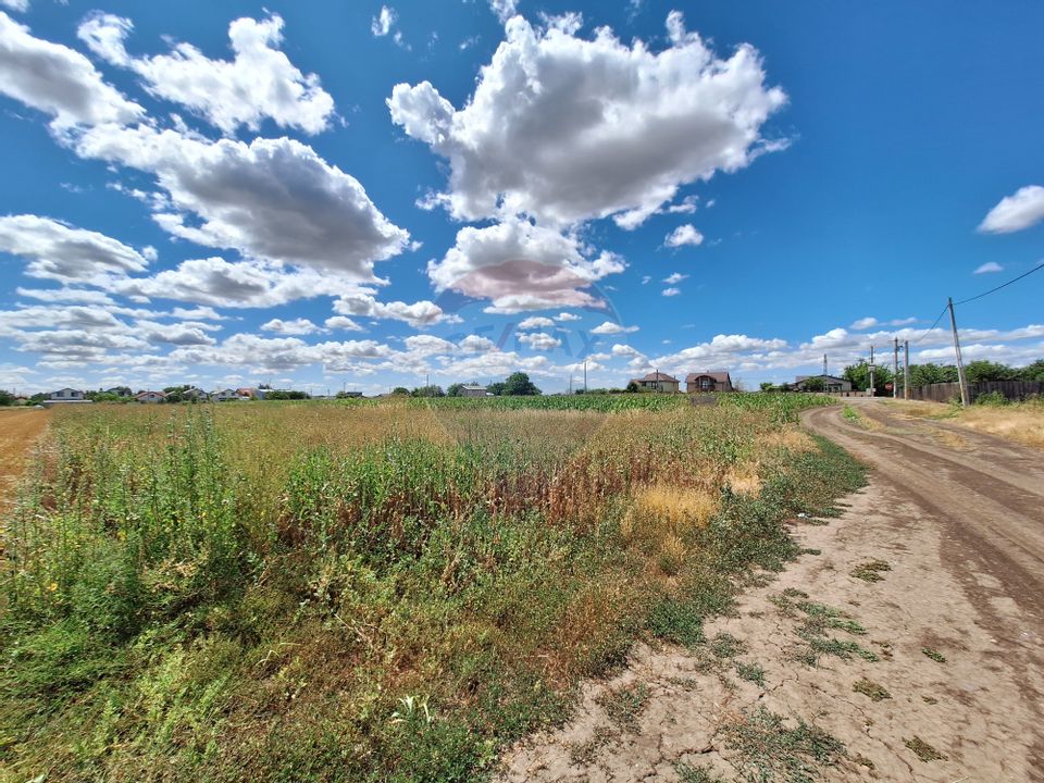 Teren Focsanei / DN sat Focsanei Vadu Pasii