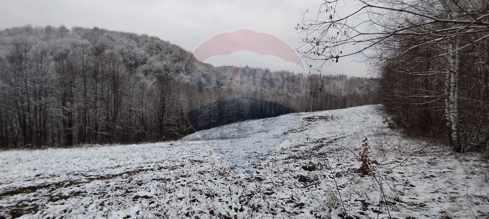 Land 7,800sqm Sinteu / Drumul Valea Tarnei