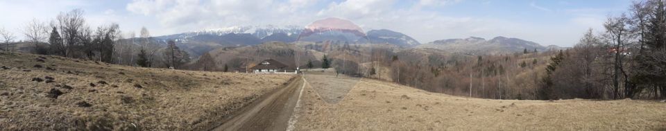 Comision 0%! Teren Moieciu de Jos 1500 mp