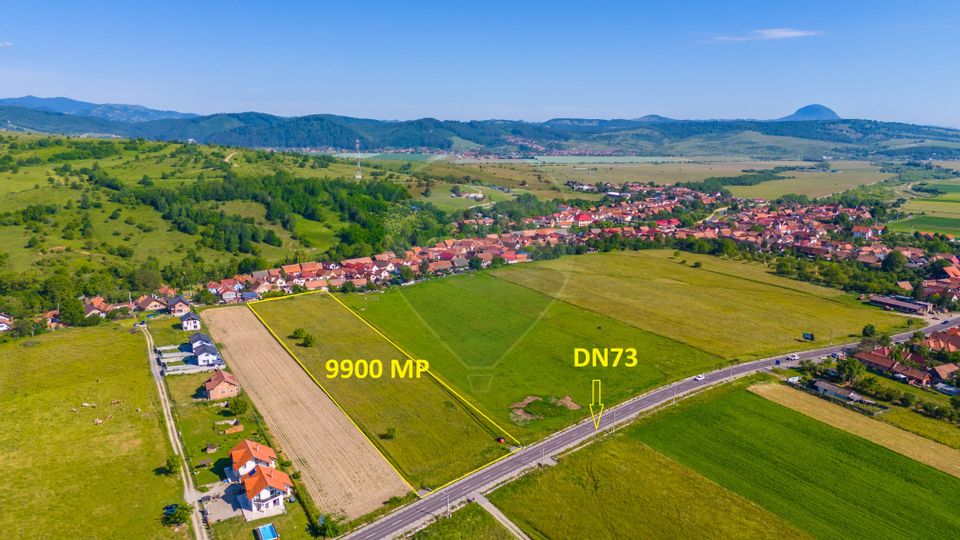 Teren intravilan 9900 mp/Tohanu Nou/Oportunitate de investitie