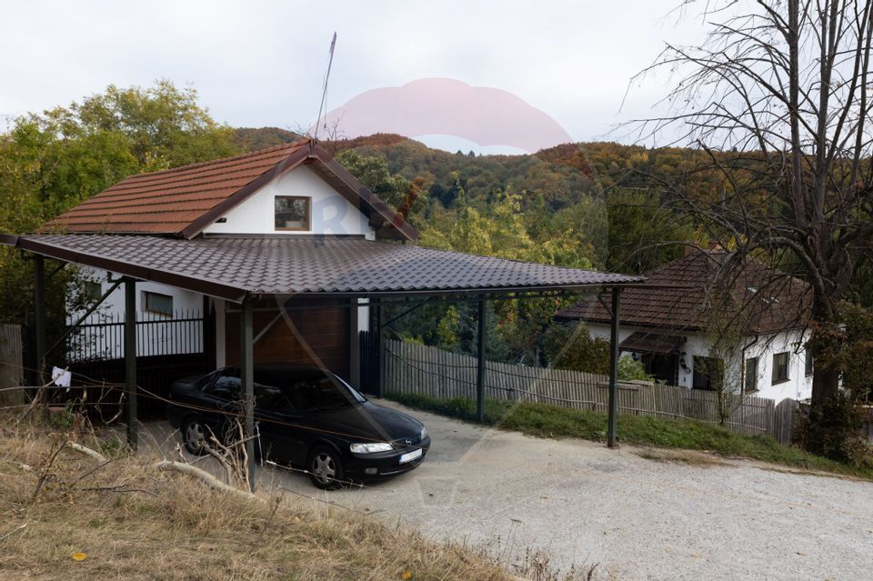 Casa + Teren cu Livada Curtea de Argeș