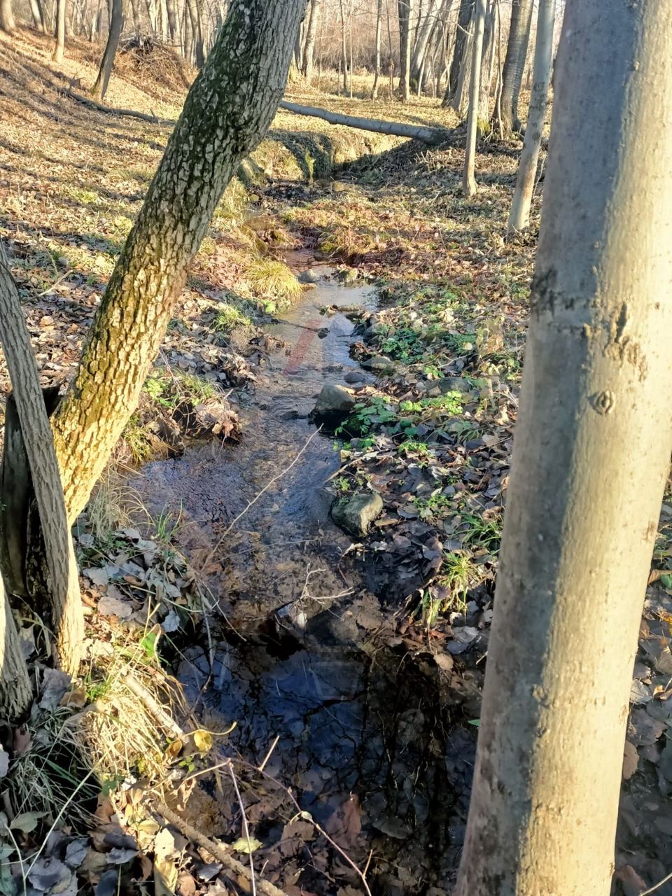 4 room House / Villa for sale