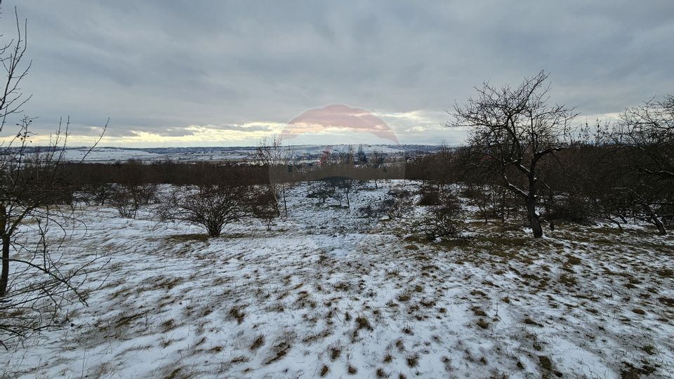 Teren 10,000mp Rădășeni / Șoseaua DN2-E85, județul Suceava