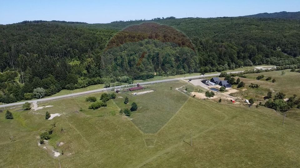 Land 5,561sqm Paltinoasa / Strada principala