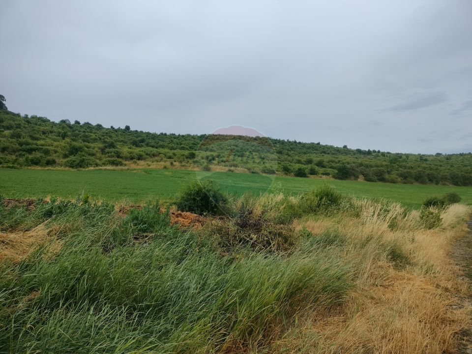 Land 18,200sqm Reghin / Strada FN