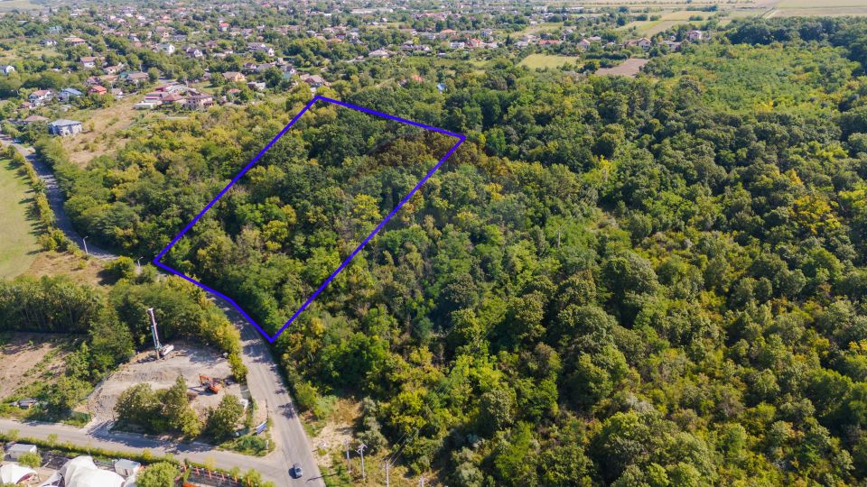 Investiție Unică: Teren de Vânzare 11.330mp pe Lacul Aroneanu - Iași