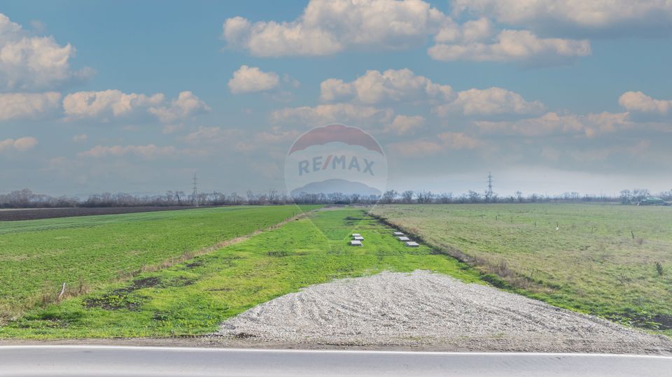 Land 10,000sqm Codlea / Strada Halchiului