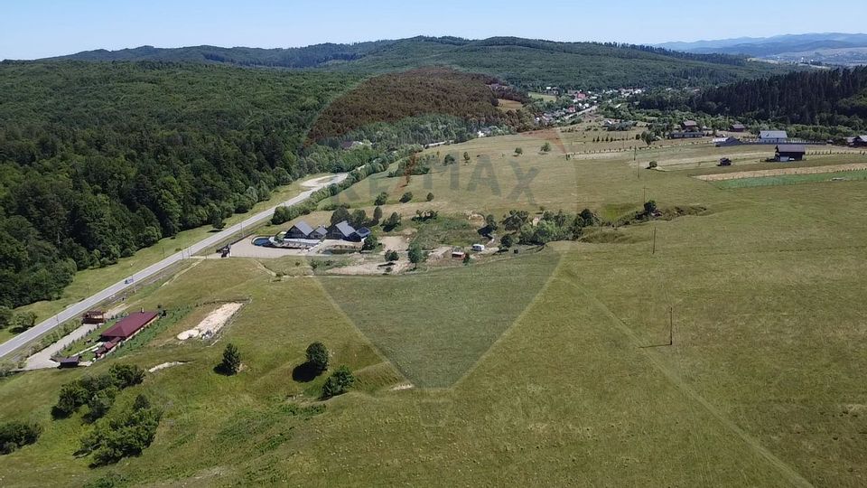 Land 5,561sqm Paltinoasa / Strada principala