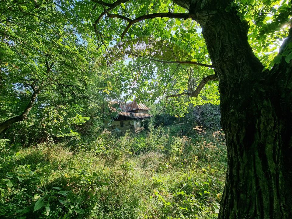 Teren cu Casa Veche in suprafata de 6000 mp, Breaza de Jos -Parcelabil