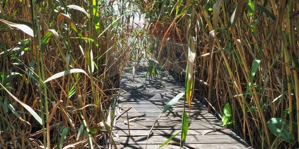 Vila la Lacul Snagov deschidere 21 ml,  ponton propriu