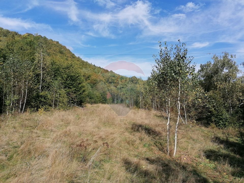 Teren 6,000mp Valea Draganului / Strada Principala