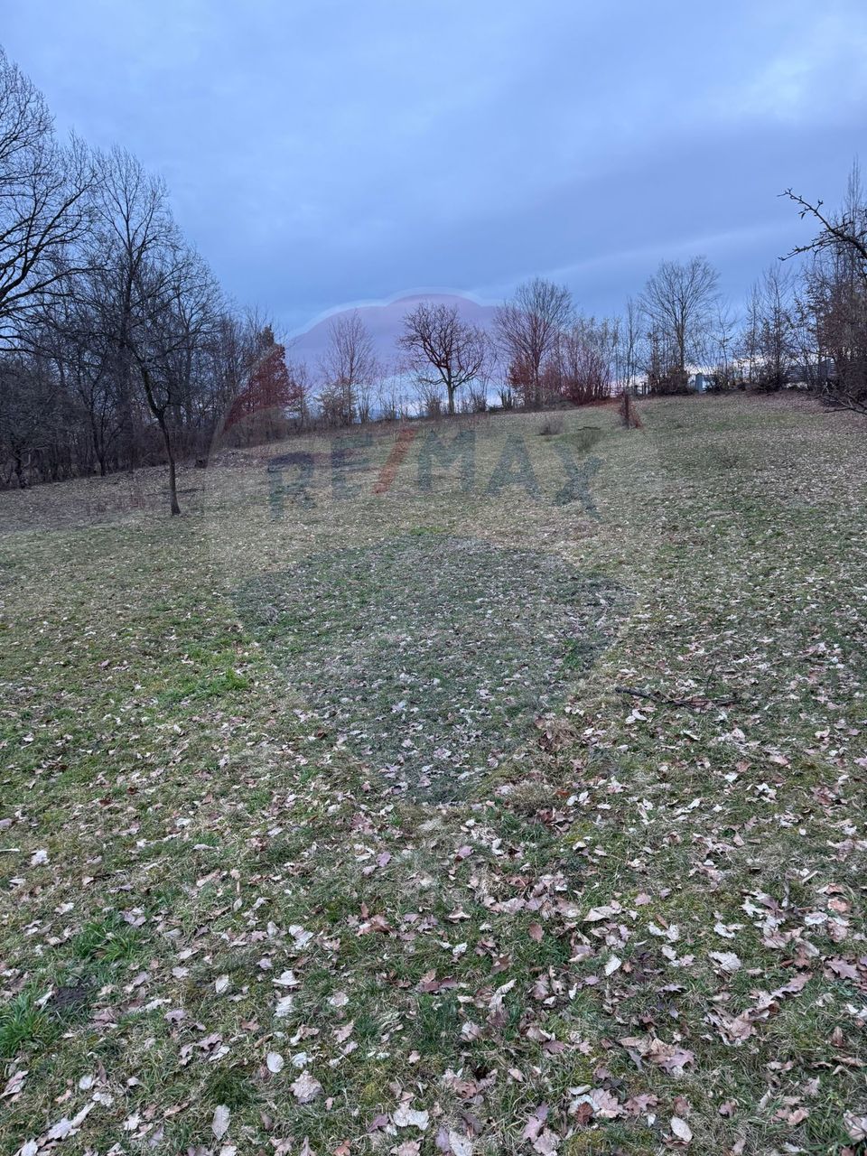 Teren intravilan cu priveliste de vanzare in Rus