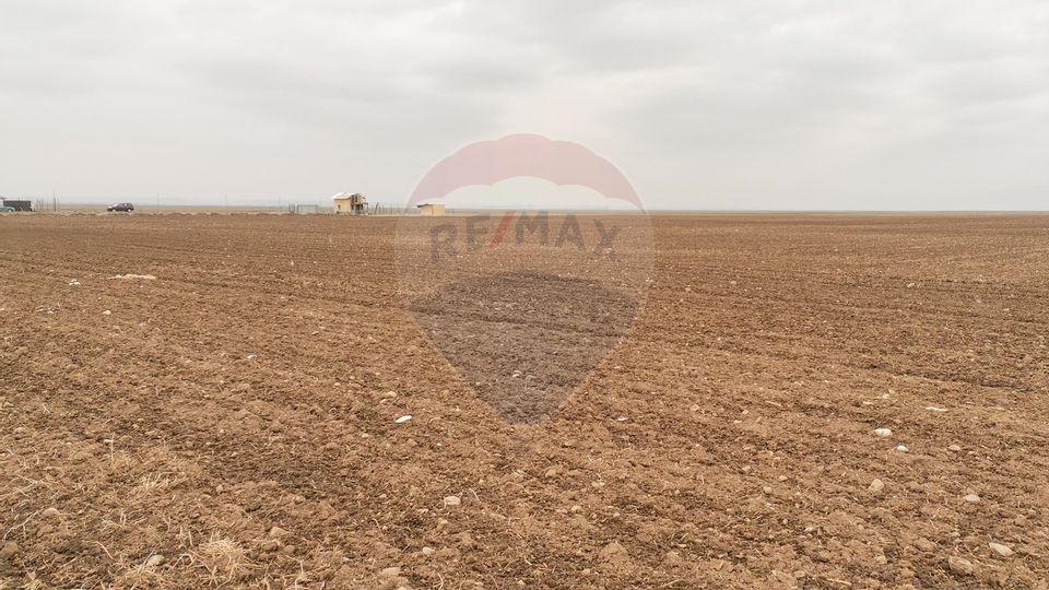 Land 52,410sqm Tarlungeni / Strada Harmanului