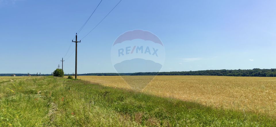 Land 10,535sqm Snagov / Strada Tarla 132