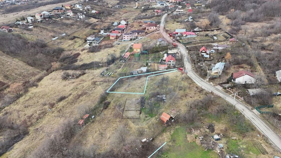 Land 746sqm Iasi / Strada Viticultori