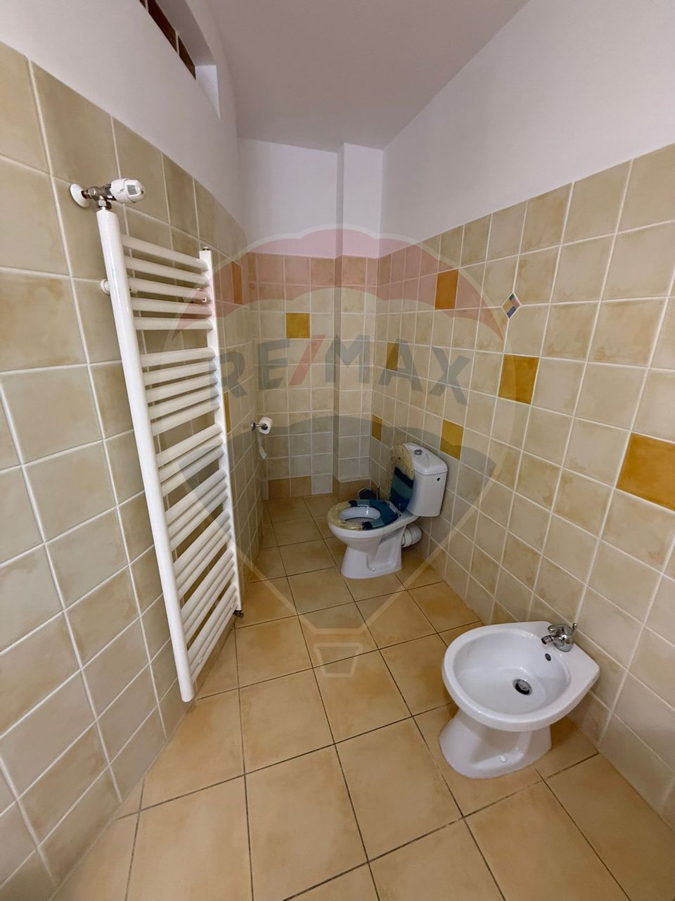 6 room House / Villa for rent, Valea Borcutului area