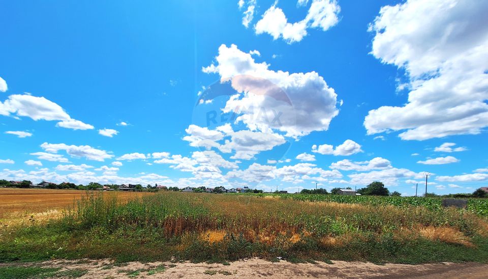 Teren Focsanei / DN sat Focsanei Vadu Pasii