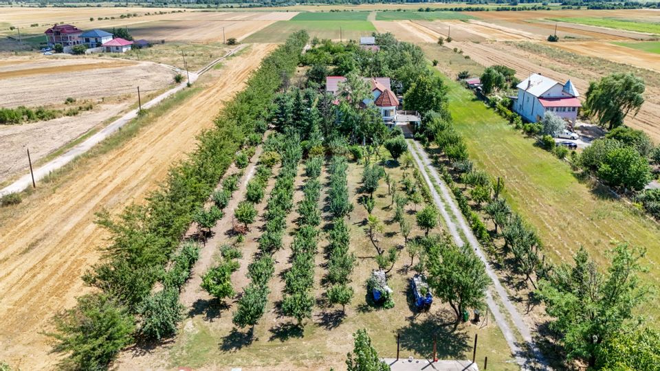 Casa+Laborator+ Teren 12.700 mp + casa de vacanta - Bolintin Vale