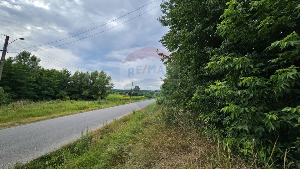 Casa  de vânzare cu teren 9200 mp, Pădureni-Șendriceni, Botoșani