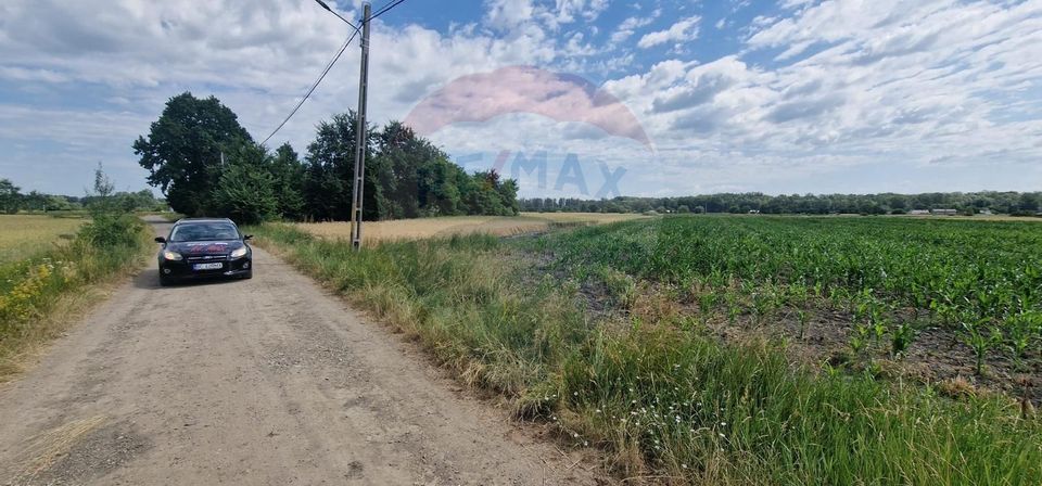 De vânzare teren 10.001 mp sat Oniscani, comuna Filipești