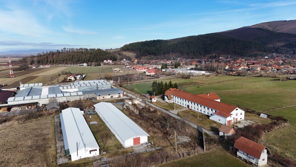 Teren industrial 1.729 mp I Demolare + construcție hală Teliu