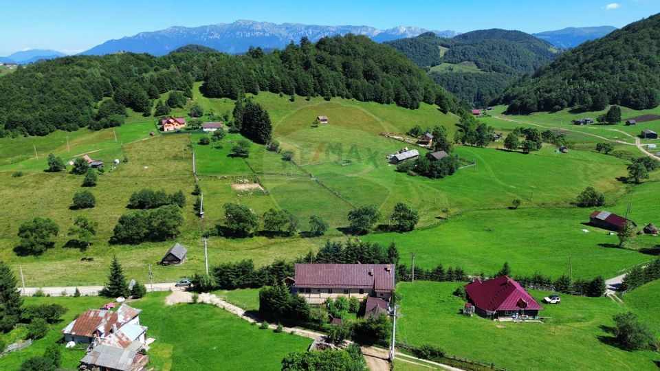 Pensiune de vânzare in vârf de munte la Ciocanu - lângă Sirnea