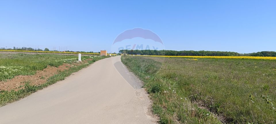 Teren 980mp Ciolpani