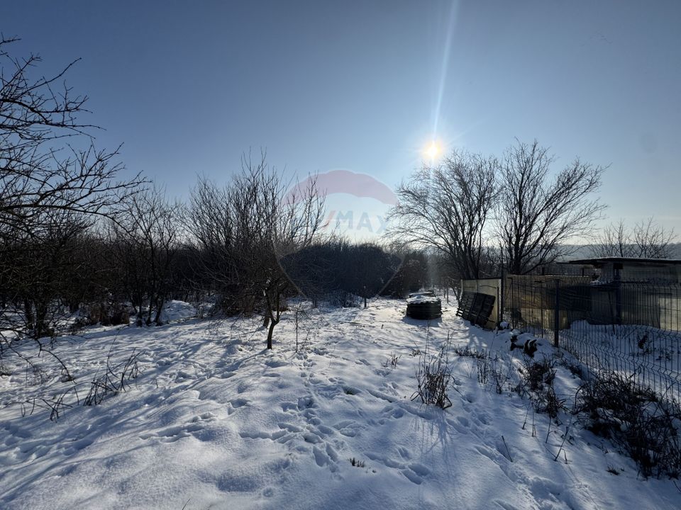 Land 4,870sqm Sintesti / Soseaua Principala