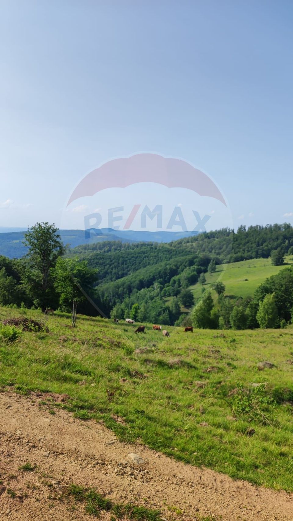 Teren 130000 mp extravilan, faneata si padure, Munteni - Bulz, Negreni