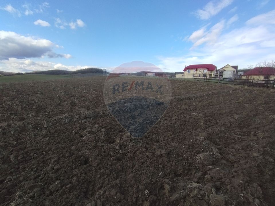 Teren Bodesti / Strada OSLOBENI LANGA MANASTIREA DUMBRAVELE