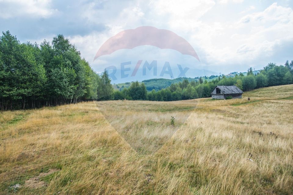 Teren extravilan Moieciu 45316mp