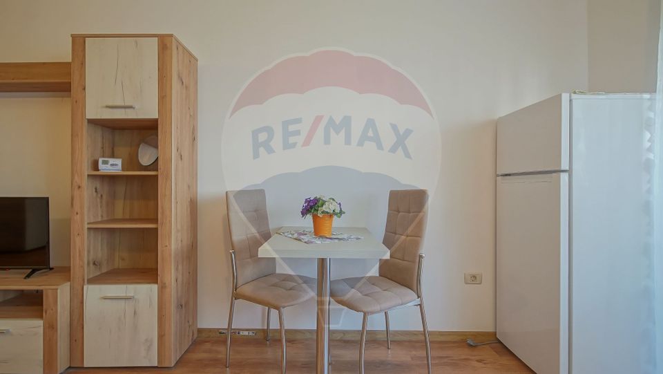 1 room Apartment for rent