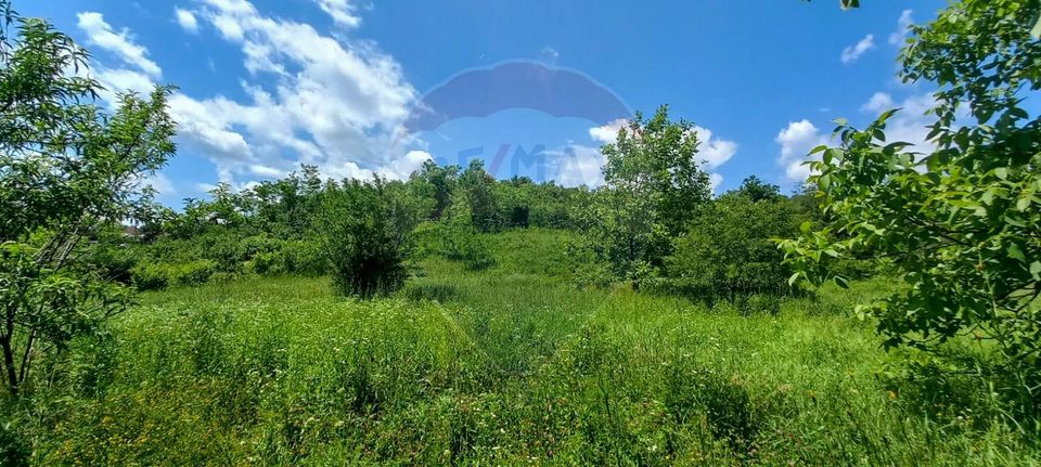 Land 3,551sqm Poiana Copaceni / Strada Poiana Copaceni