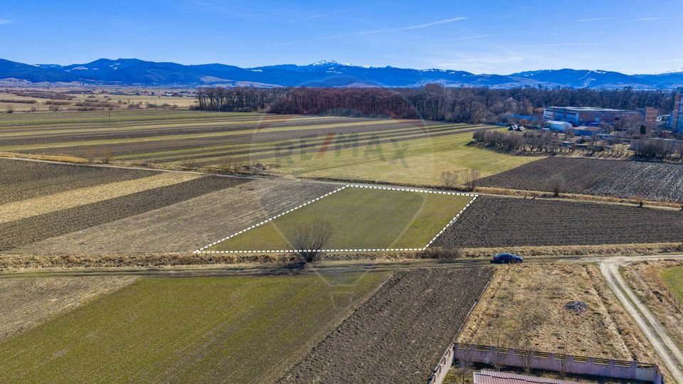 Land 3,700sqm Lunca Calnicului / Strada Principala