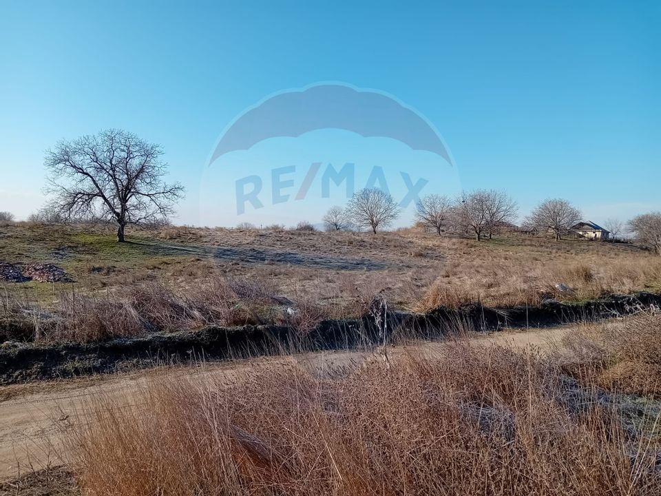 Land 7,000sqm Calafat / Aleea Tarlaua 97, parcela 17