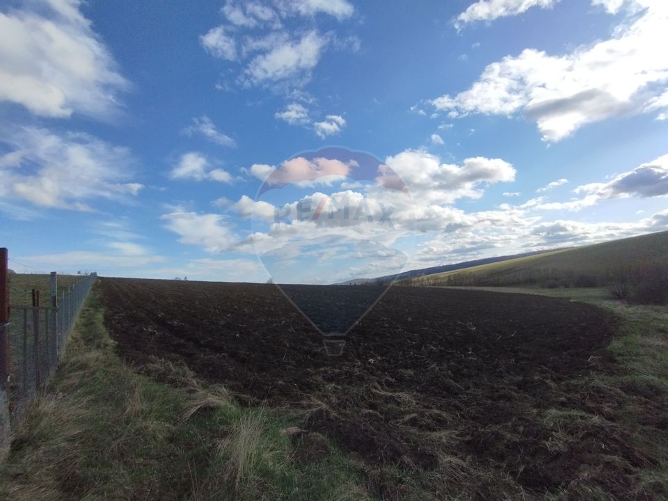 Teren Bodesti / Strada OSLOBENI LANGA MANASTIREA DUMBRAVELE